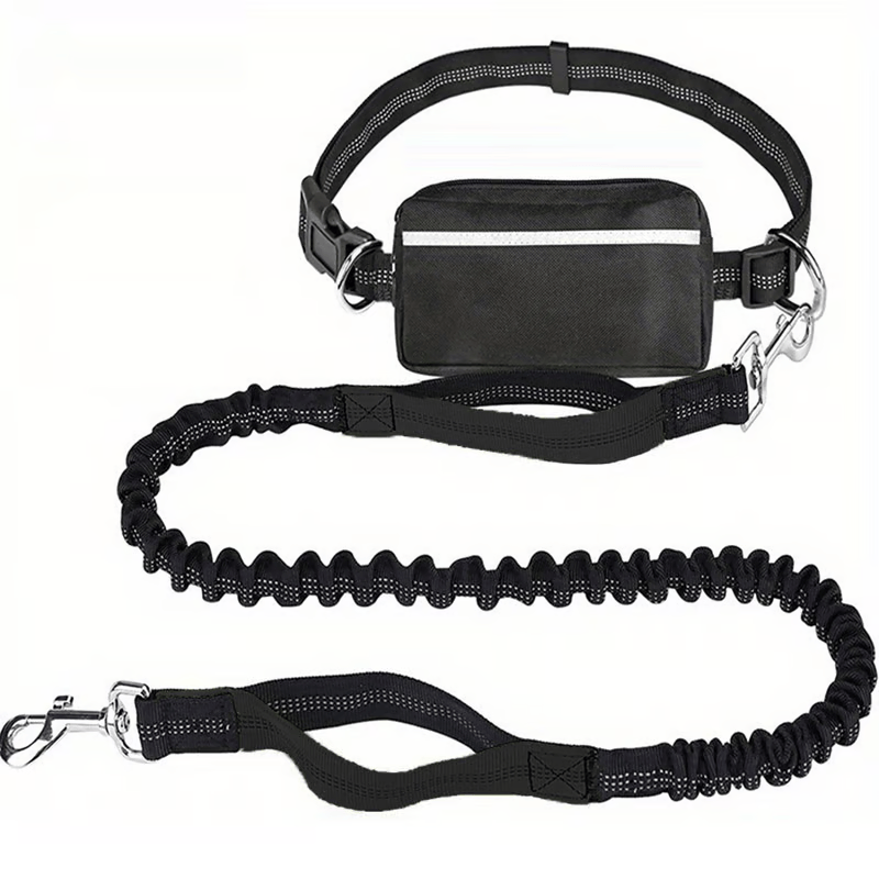 Hands-Free Dog Leash with Shock Absorbers and Storage Pouch