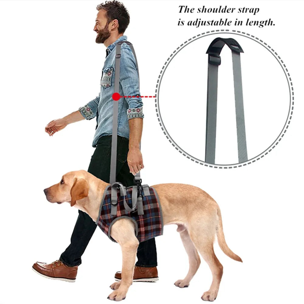 Adjustable Dog Harness Support for Front and Rear Leg lifting - Rehabilitation Vest for Old Dogs and Pets with Disabilities