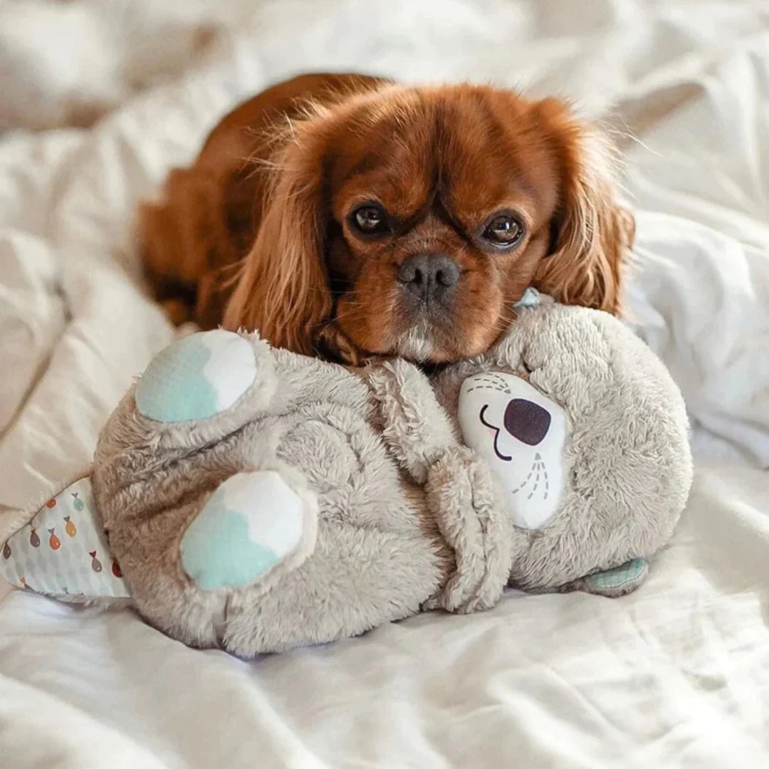 Calming Otter Plush Dog Buddy