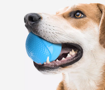 Super Elastic Luminous Dog Ball