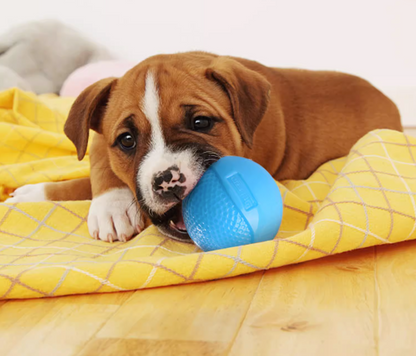 Super Elastic Luminous Dog Ball