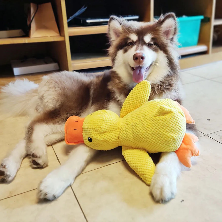 Calming Duck Dog Toy - Safe Chewable Pet Stuff Toy to Relieve Anxiety, Boredom, and Excess Energy