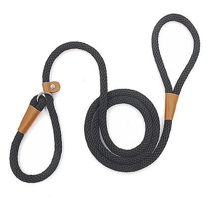 Dog Leash with Comfortable Padded Handle and Highly Reflective Threads for Small Medium and Large Dogs