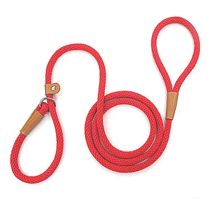 Dog Leash with Comfortable Padded Handle and Highly Reflective Threads for Small Medium and Large Dogs