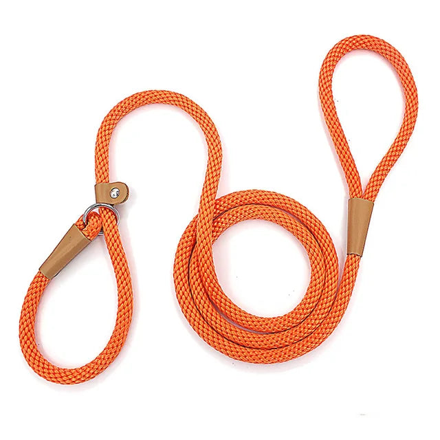 Dog Leash with Comfortable Padded Handle and Highly Reflective Threads for Small Medium and Large Dogs