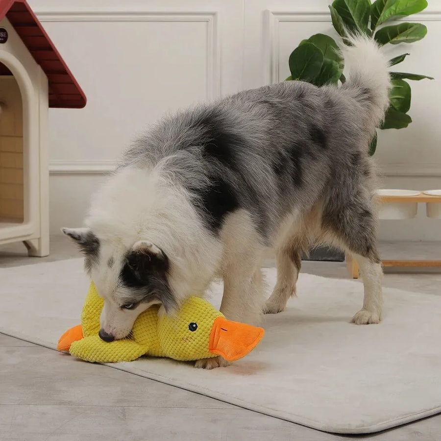 Calming Duck Dog Toy - Safe Chewable Pet Stuff Toy to Relieve Anxiety, Boredom, and Excess Energy