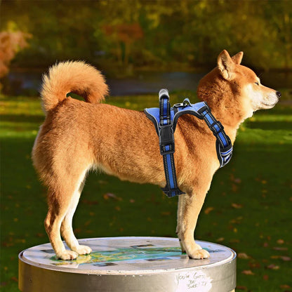 Dog Harness (No-Pull & Reflective Dog Harness)