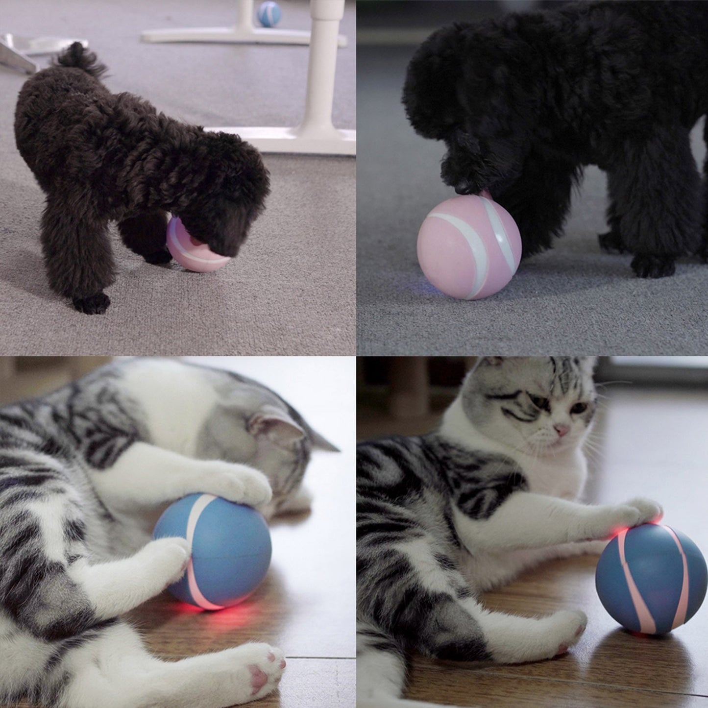 Remote Controlled Bounce Ball - Smart Interactive Self-Rotating Cat Toy Ball with Colorful LED and Catnip Bell Feather