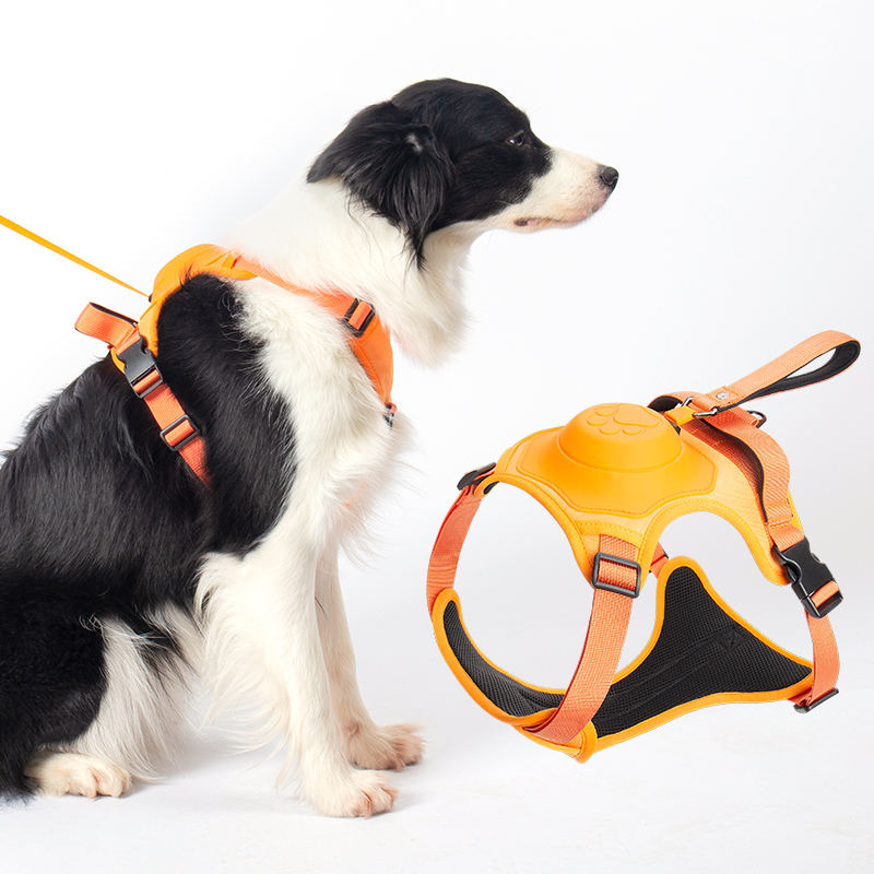 Auto-Lock No-Pull Harness with Built-in Dog Retractable Leash For Walking All Breeds And sizes