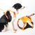 Auto-Lock No-Pull Harness with Built-in Dog Retractable Leash For Walking All Breeds And sizes