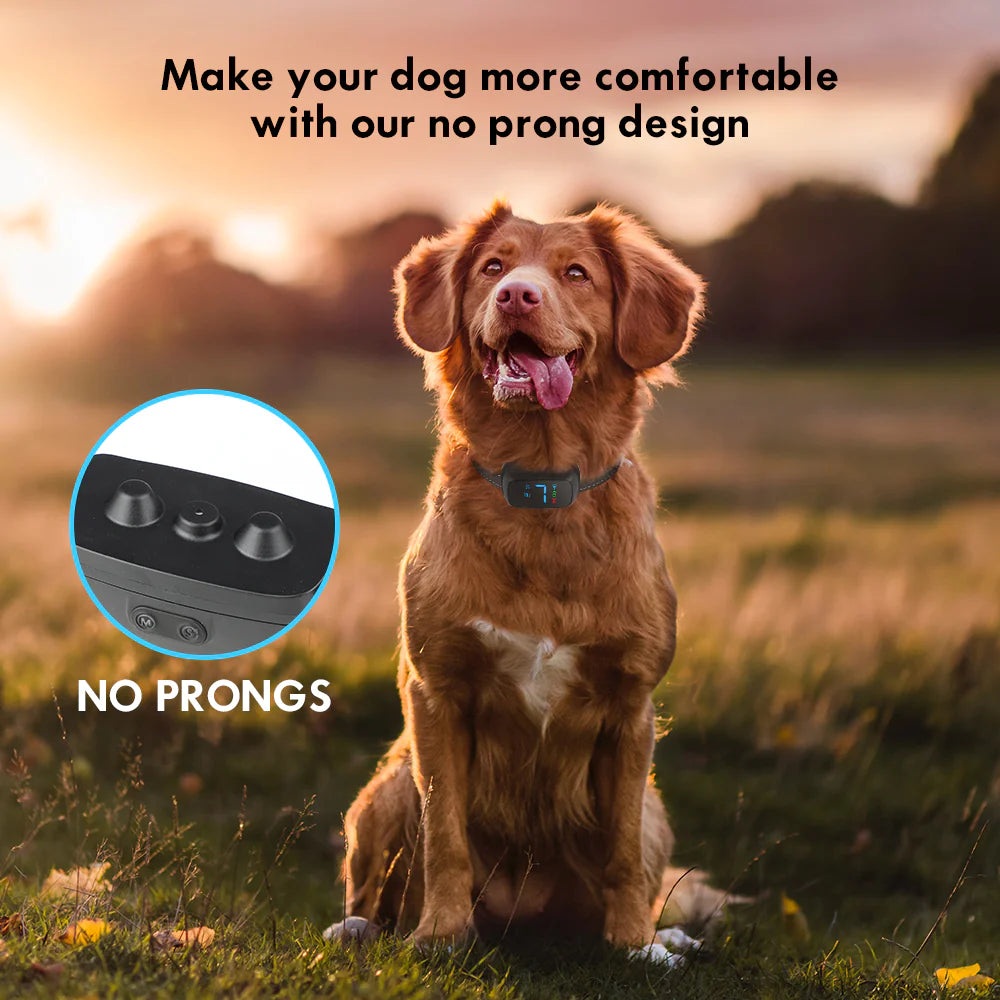 No Shock Rechargeable Water Resistant LED Bark Control Collar, Sound & Vibration Only, For 7-120lb Dogs, Neck Size 7in to 25in