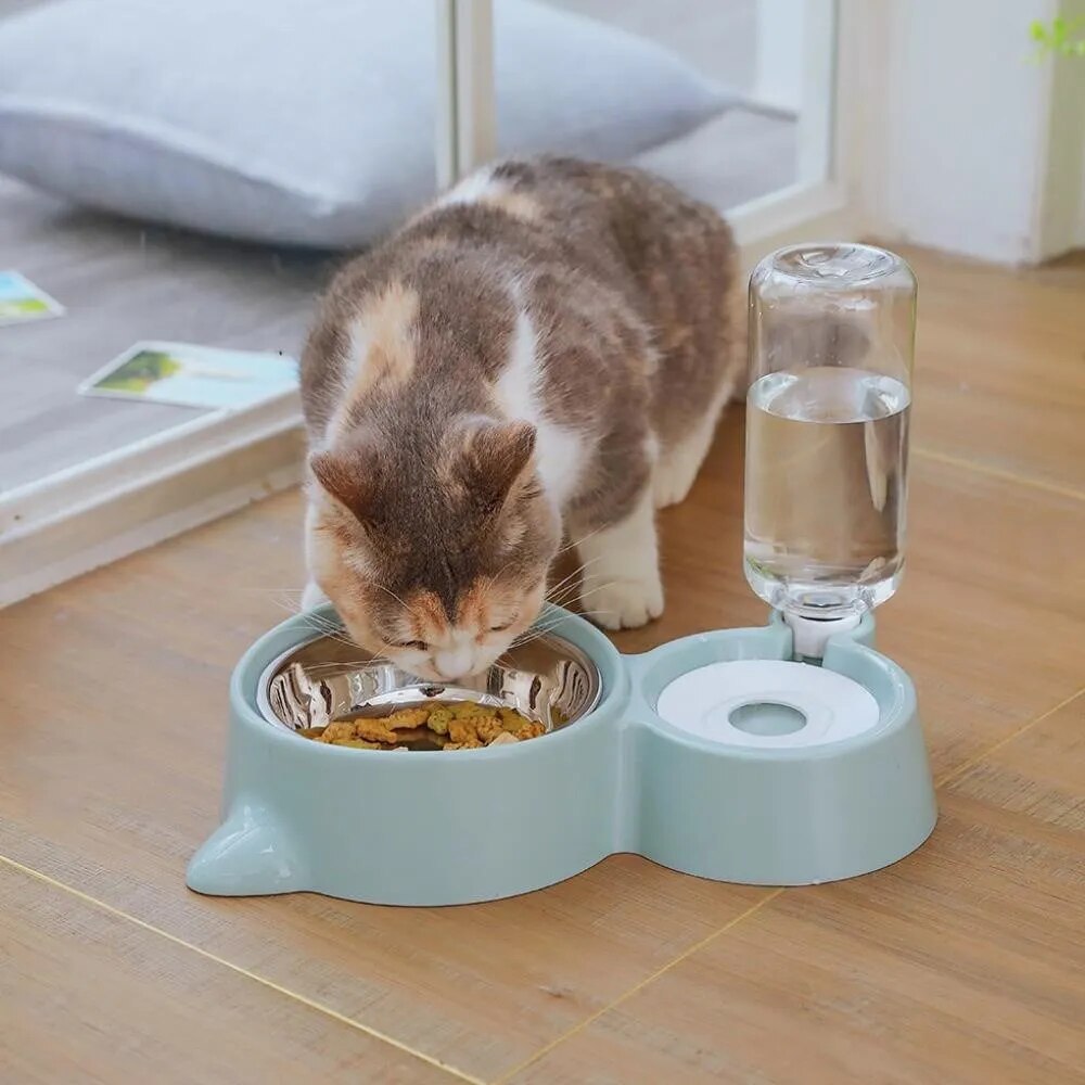 2-in-1 Pet Dog and Cat Bowl Feeder and Automatic Water Dispenser