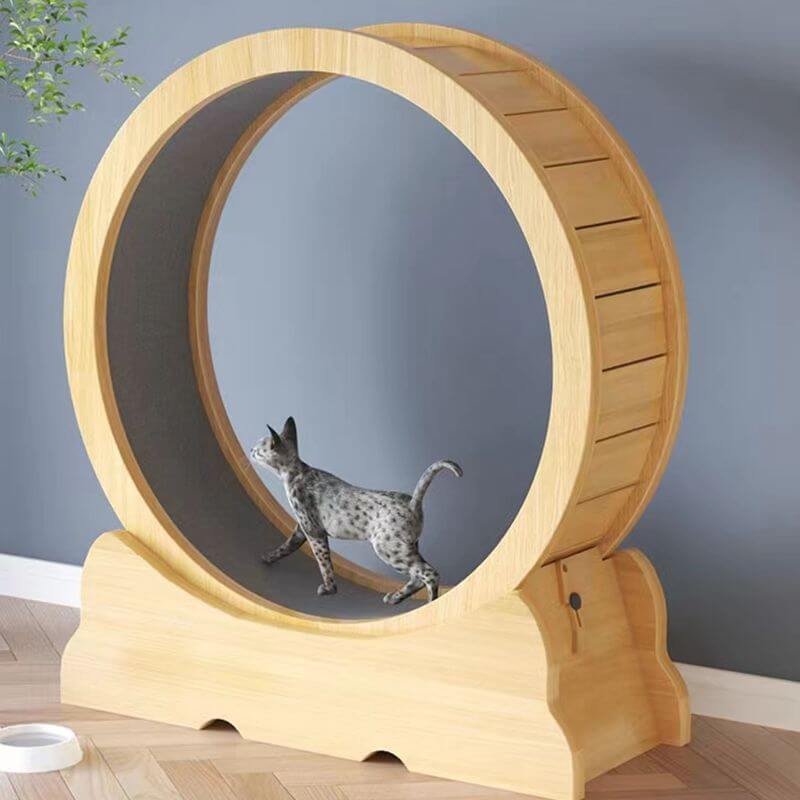 Cat Exercise Wheel With Lock Cat Treadmill