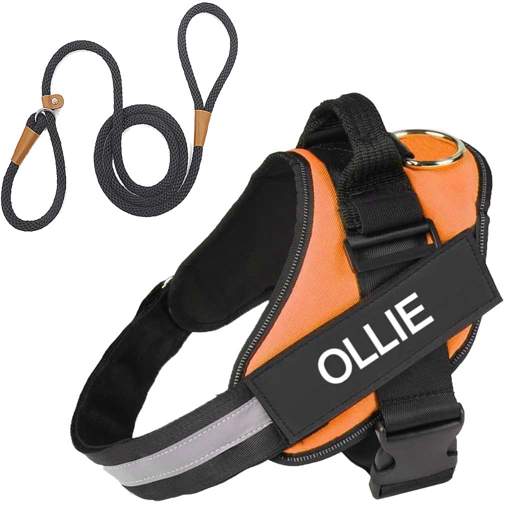 Personalised No Pull Dog Harness With Large Slip Solid Rope Dog Leash