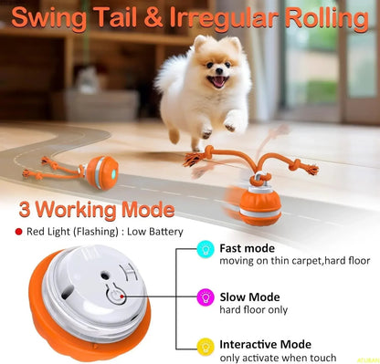 Self Rolling and Motion Activate Ball - Automatic Moving Interactive Ball Toy for Dogs