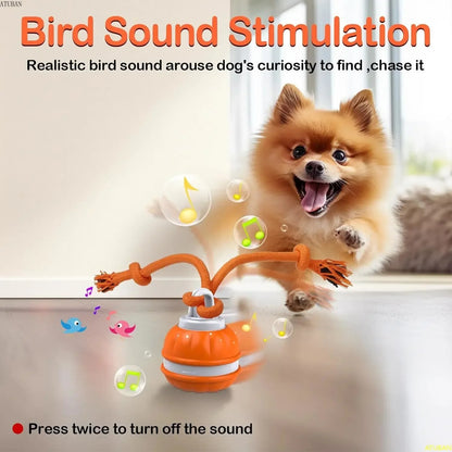 Self Rolling and Motion Activate Ball - Automatic Moving Interactive Ball Toy for Dogs