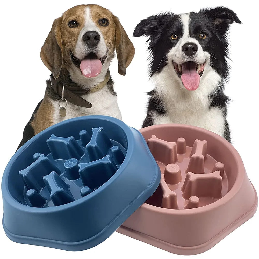 Pet Slow Feeder Bowl - Bone Pattern Designed Cat & Dog Slow Feeder Bowl Anti-Gulping Food Plate