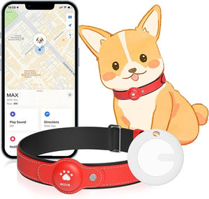 2-in-1 Smart Activity Pet Tracker Collar - Waterproof Pet GPS Locator