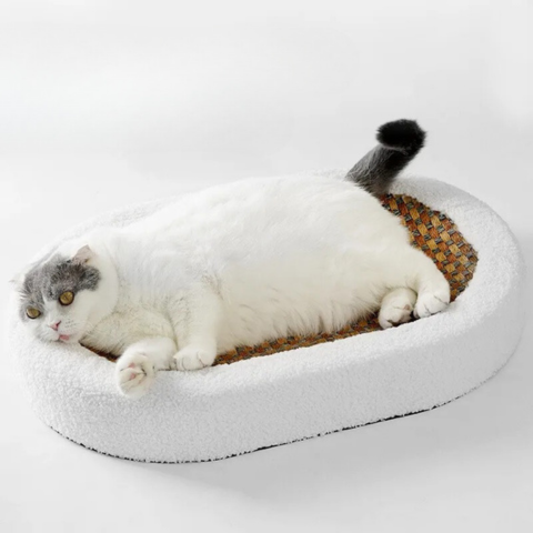 Luxurious Plush Cat Bed with Scratchable Surface