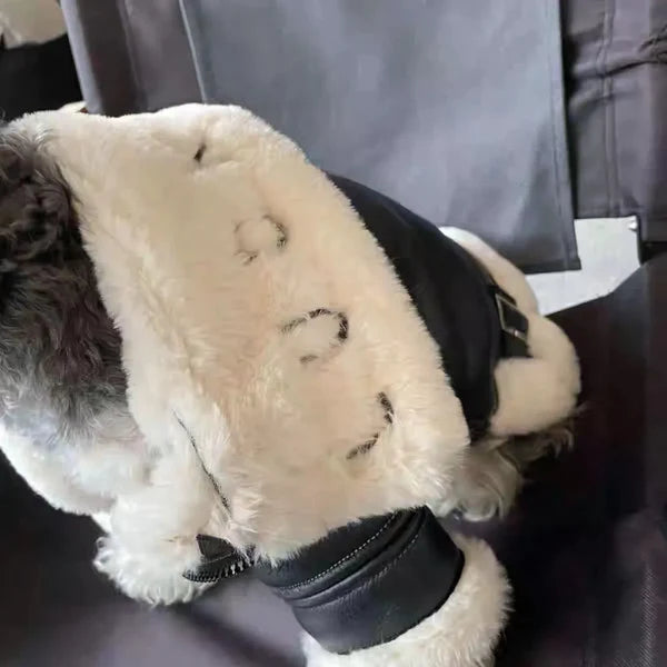 Pet Clothes Winter Autumn Warm Jacket Small Dog Wool Fashion Sweater Puppy Cool Leather Coat Chihuahua Maltese Yorkshire Poodle