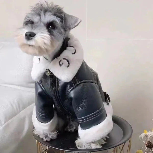 Pet Clothes Winter Autumn Warm Jacket Small Dog Wool Fashion Sweater Puppy Cool Leather Coat Chihuahua Maltese Yorkshire Poodle