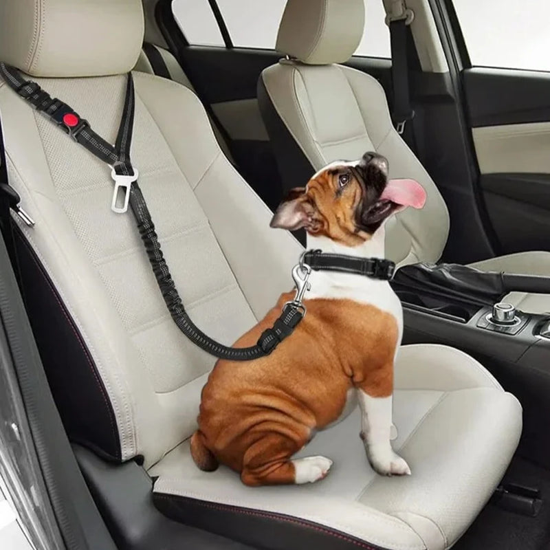 Dog Car Belt with 3-in-1 Design with Built-in Leash