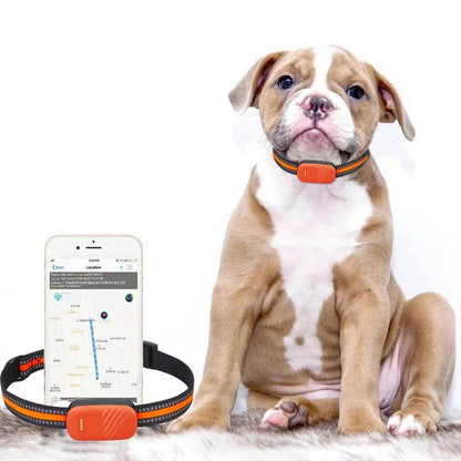 Pet 4G Smart Collar Gps Tracker