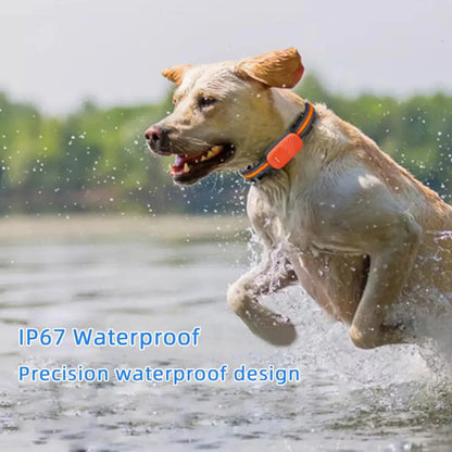 Pet 4G Smart Collar Gps Tracker