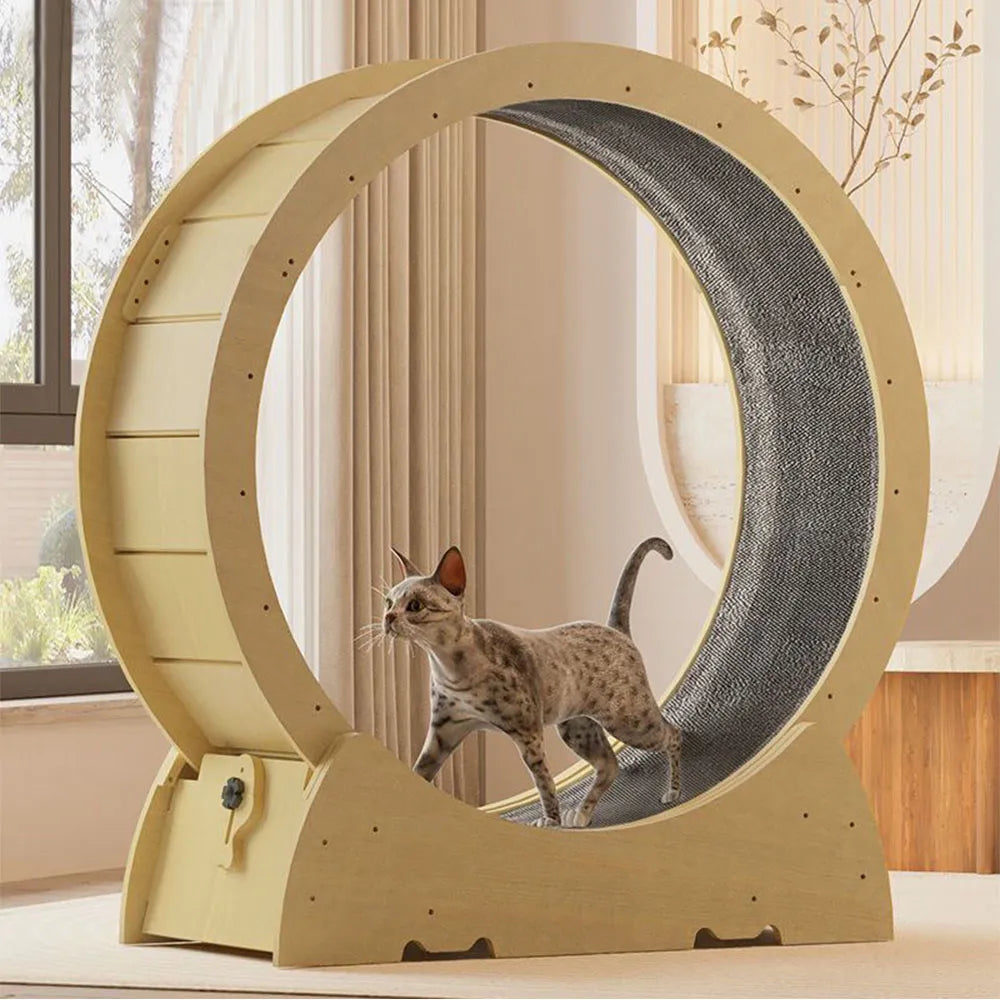 Cat Exercise Wheel With Lock Cat Treadmill