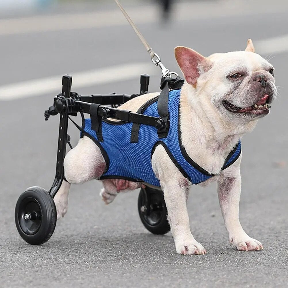 RehabOS Dog Wheelchair: Gentle Hind Leg Mobility Assistance