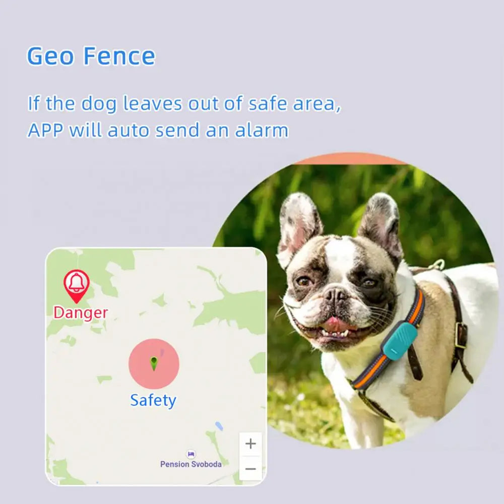 Pet 4G Smart Collar Gps Tracker