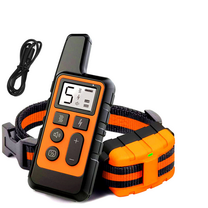 Dog Training Collar