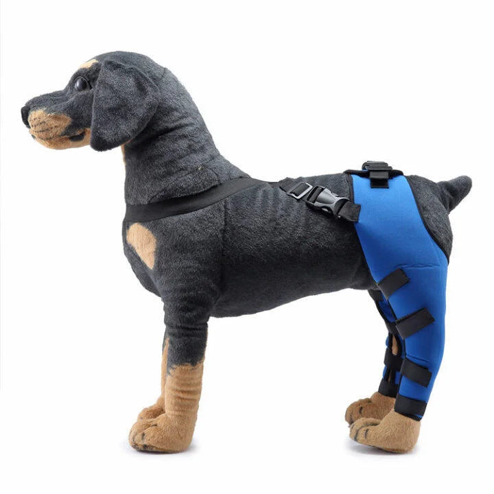 Double Dog Hip Brace with Safety Reflective Straps - Dog Hip Support for Back Leg and Hop Dysplasia