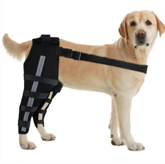 Double Dog Hip Brace with Safety Reflective Straps - Dog Hip Support for Back Leg and Hop Dysplasia