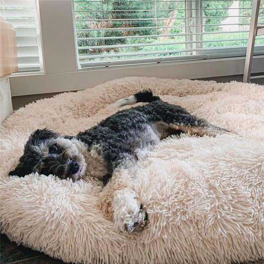 DOGLORY™ - World's #1 Anxiety Relieving Dog Bed