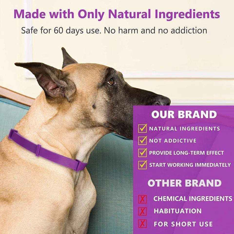 Pheromone calming collar for dogs and cats