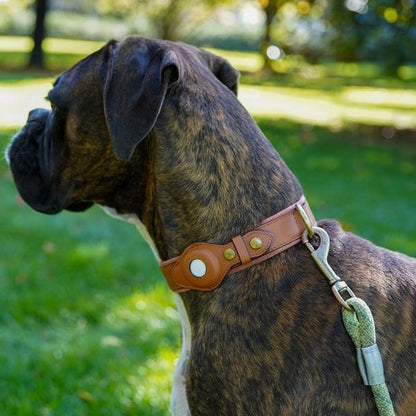 Premium Leather Airtag Dog Collar