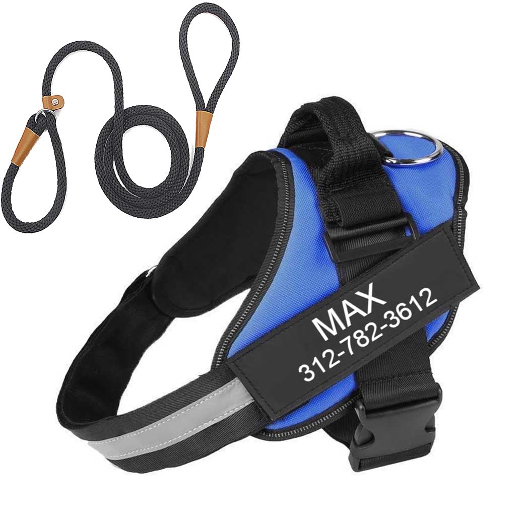 Personalised No Pull Dog Harness With Large Slip Solid Rope Dog Leash