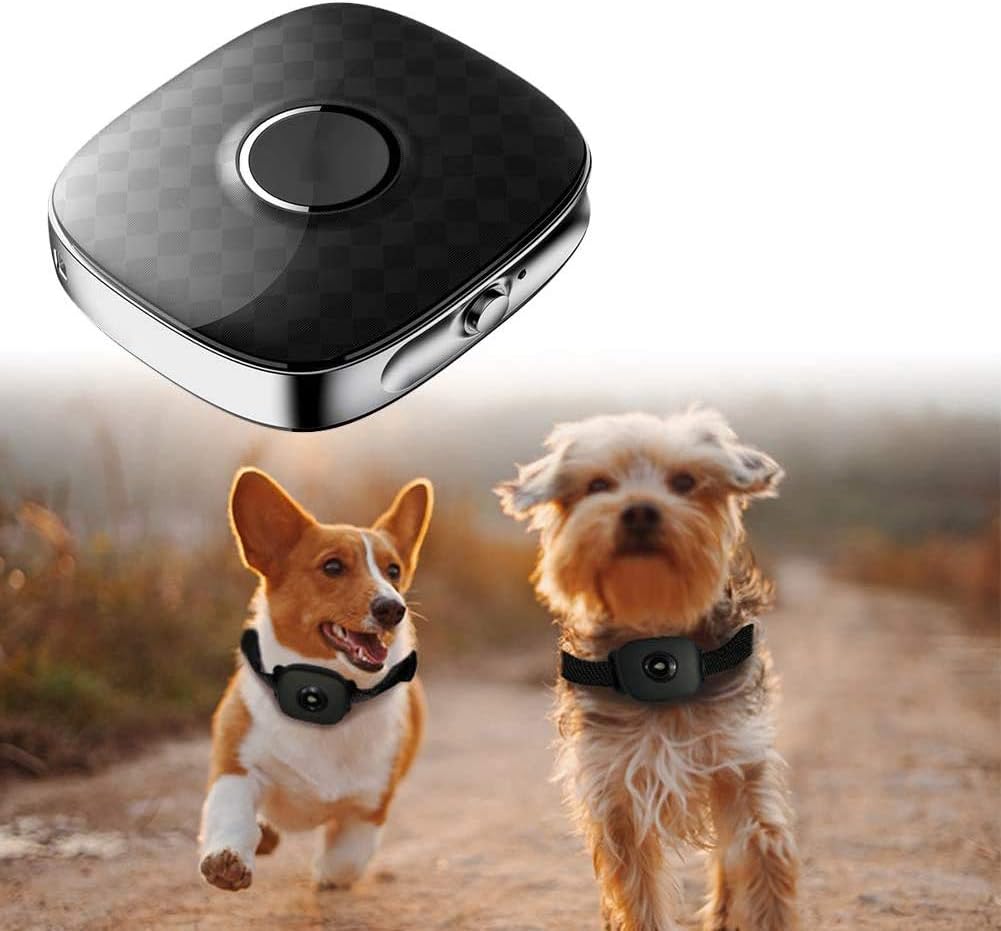 Smart Cat & Dog GPS Tracker Collar