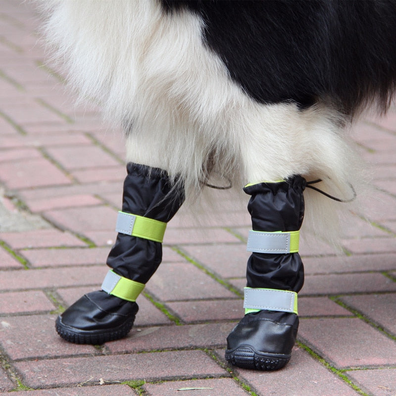 Dog Waterproof Boots | Protect Your Pup in Style and Comfort