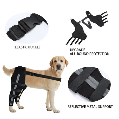 Double Dog Hip Brace with Safety Reflective Straps - Dog Hip Support for Back Leg and Hop Dysplasia