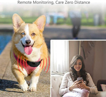 Smart Cat & Dog GPS Tracker Collar