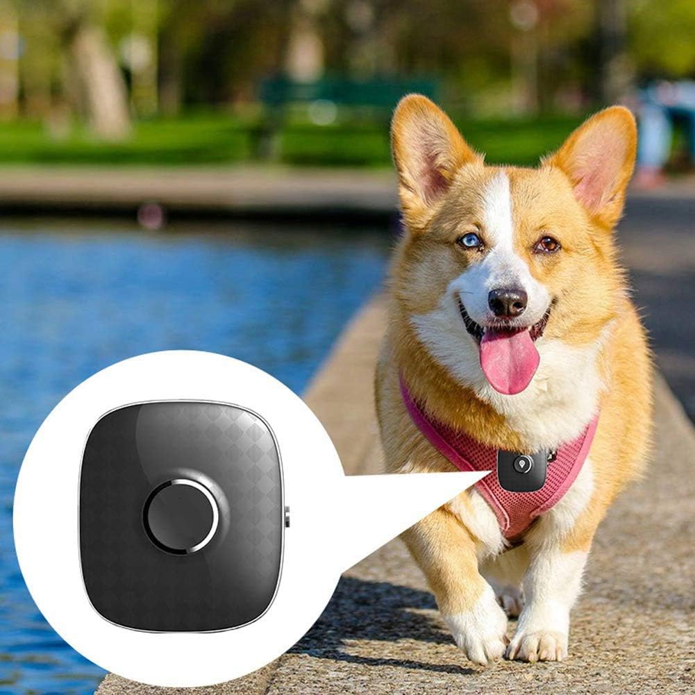 Smart Cat & Dog GPS Tracker Collar