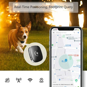 Smart Cat & Dog GPS Tracker Collar