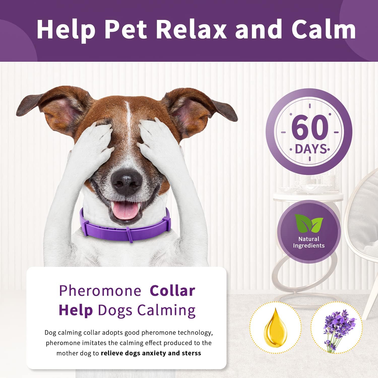 Pheromone calming collar for dogs and cats