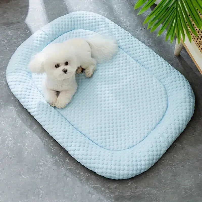 Cooling Dog Bed