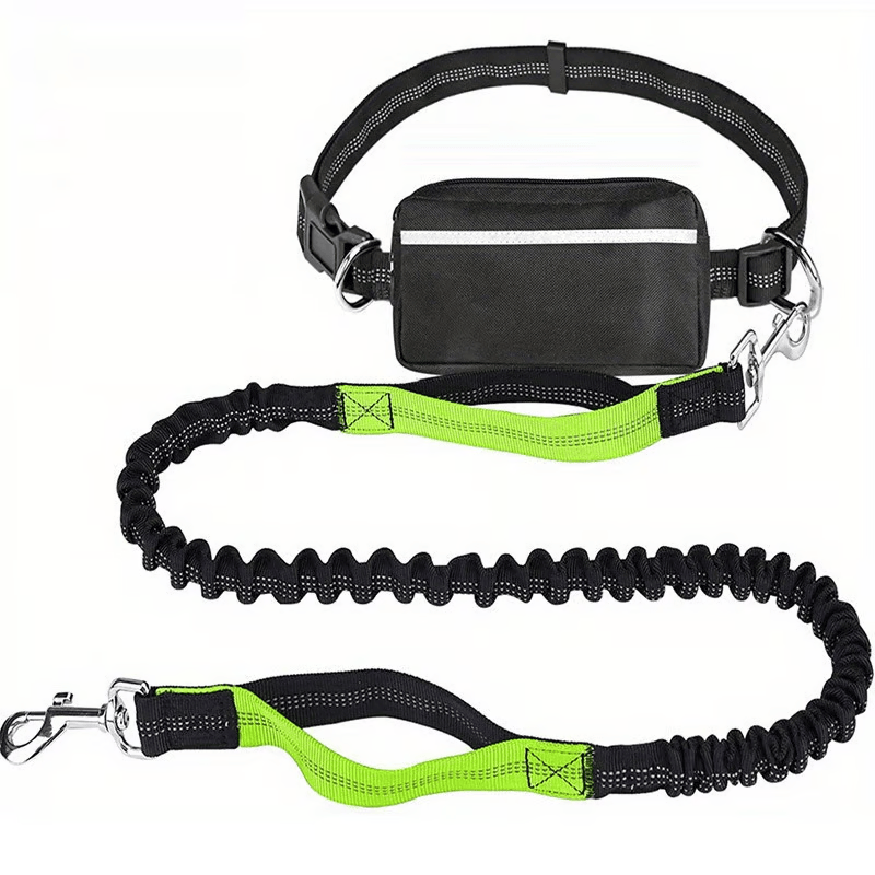 Hands-Free Dog Leash with Shock Absorbers and Storage Pouch