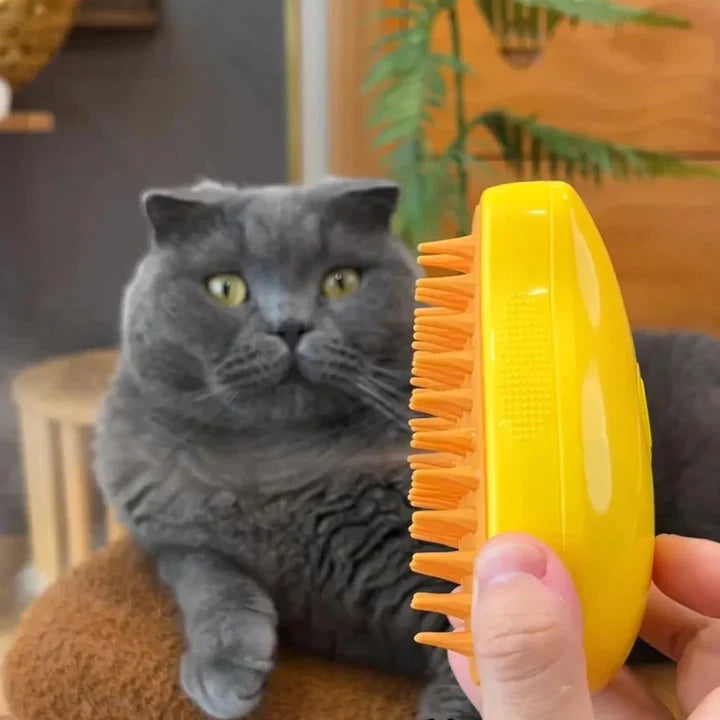 Steamy Cat Brush with Nano Mist Spray Technology