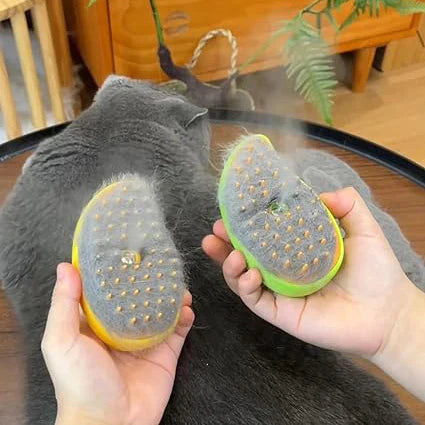 Steamy Cat Brush with Nano Mist Spray Technology