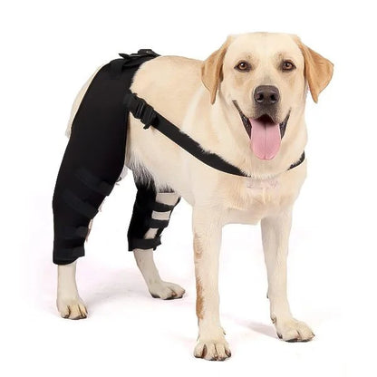 Double Dog Hip Brace with Safety Reflective Straps - Dog Hip Support for Back Leg and Hop Dysplasia